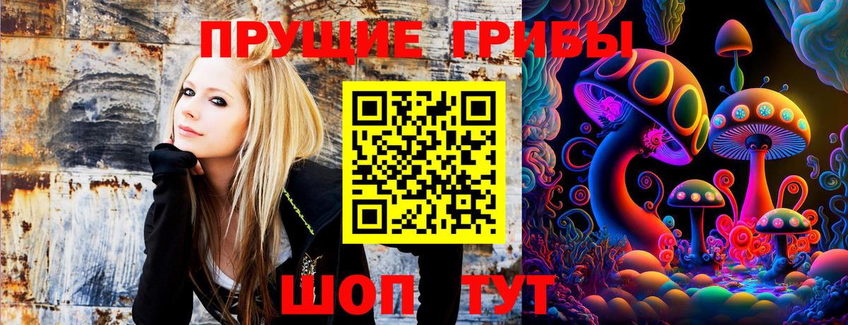 Псилоцибиновые грибы ЛСД Новоалтайск