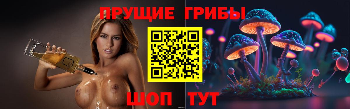 Псилоцибиновые грибы мухоморы  Вход с VPN  Новоалтайск 
